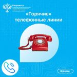 ����: nashe-slovo.ru