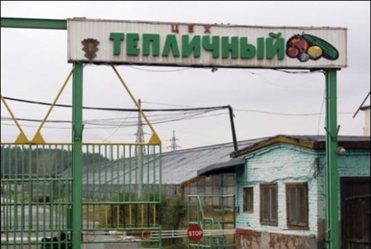 Совхоз «Тепличный» стал собственностью Ивановской области