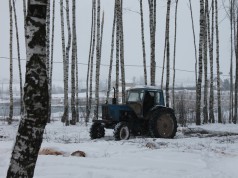 ОНФ призвал остановить вырубку Березовой рощи на окраине г. Иваново