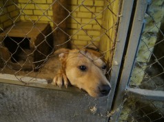 Минута внимания — бесценна