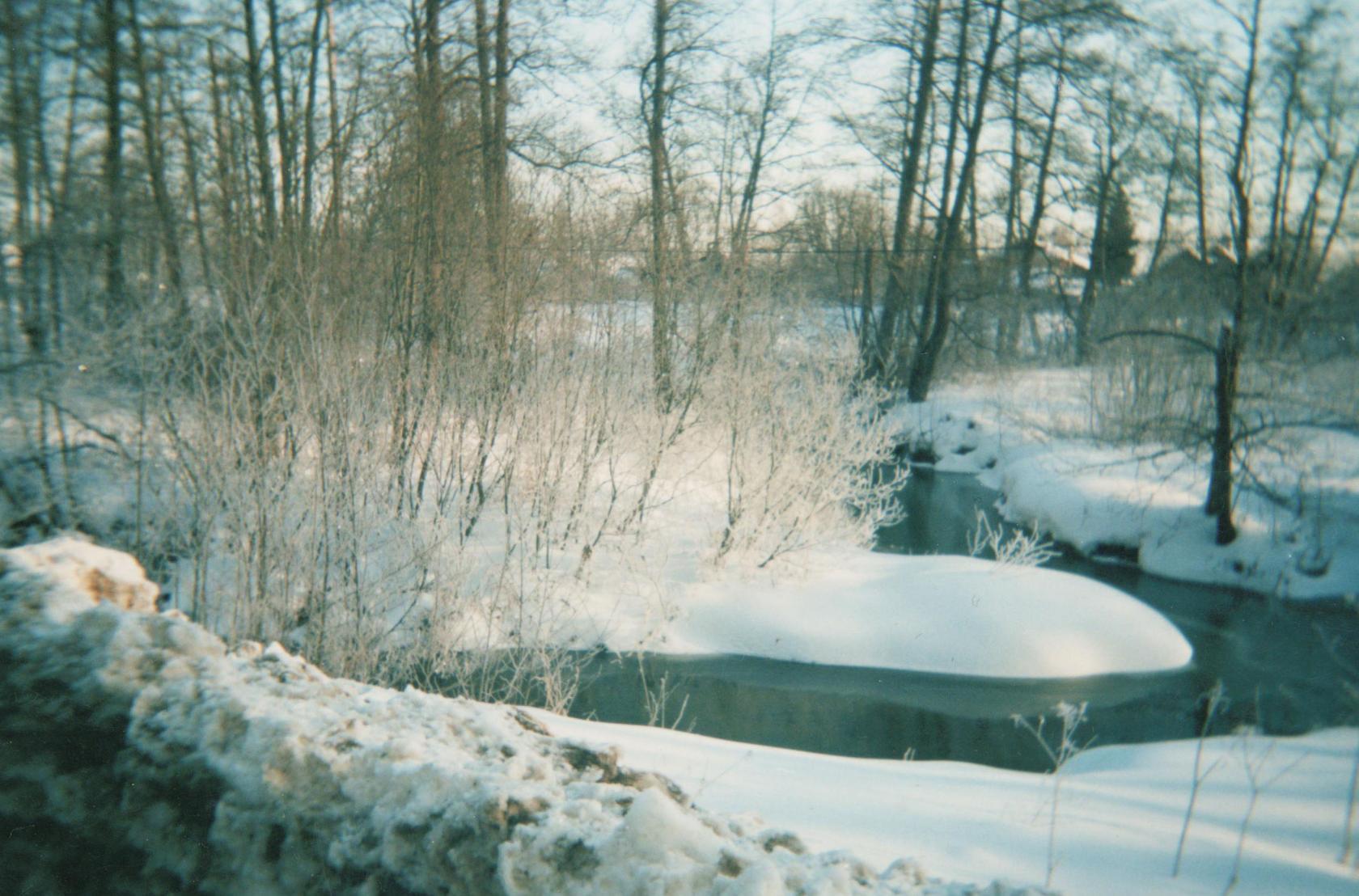 image (1)