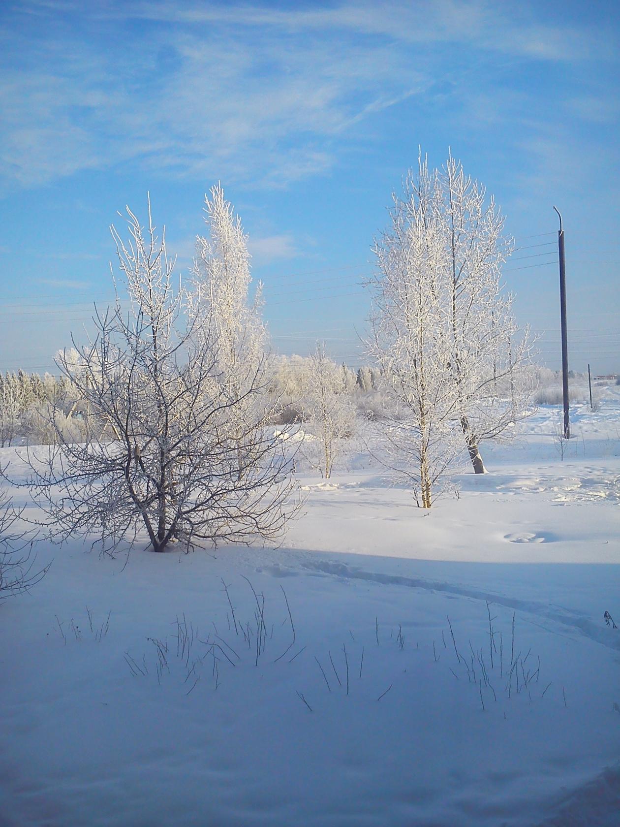 image (8)