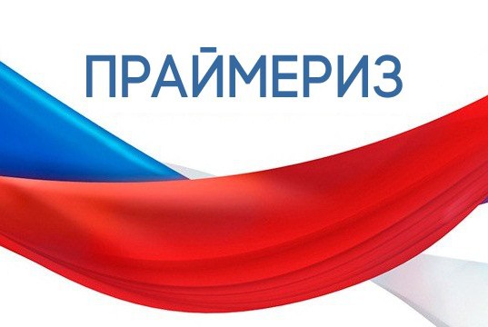 Народные выборы