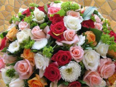 Счастья вам, дорогие активисты!