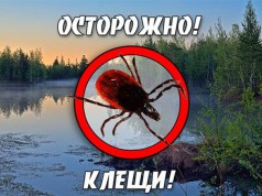 Профилактика клещевого энцефалита