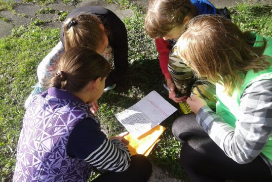 В Ивановском районе искали «Зеленый след»