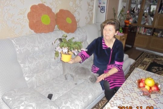 В гости — со своими пирогами