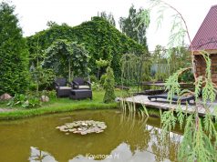 Спокойной и сытой жизни тебе, крылатый друг!