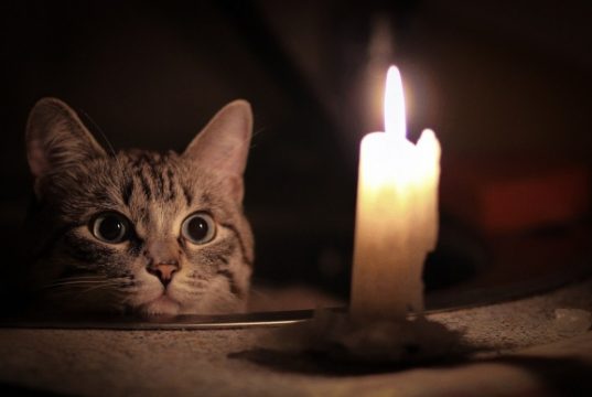 Света не будет