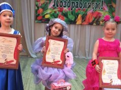 «Маленькая фея» в Ивановском районе