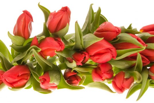 Поздравляем!