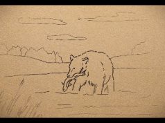 Как появились заповедники?