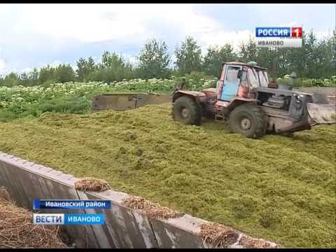 Аграрии прогнозируют новую волну повышения цен на молоко, мясо и овощи
