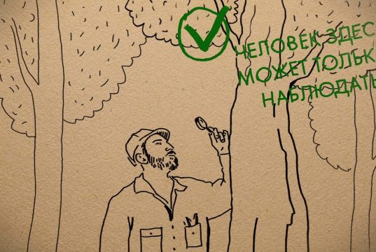 Год экологии. Что такое заповедник?