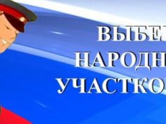 Голосуй за своего участкового