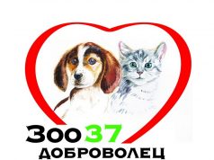 Как задобрить символ года?