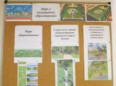 Объект для благоустройства в Кохме выбран!