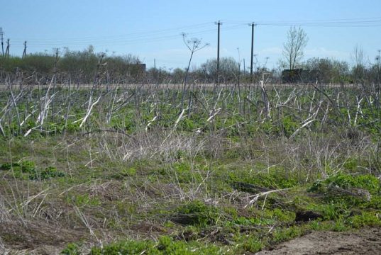 140 участков Сосновского