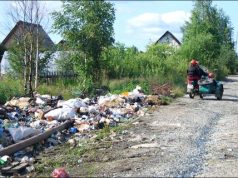 Мусор из садоводческих товариществ вывезет регоператор