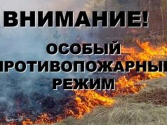 В Ивановской области введен особый противопожарный режим
