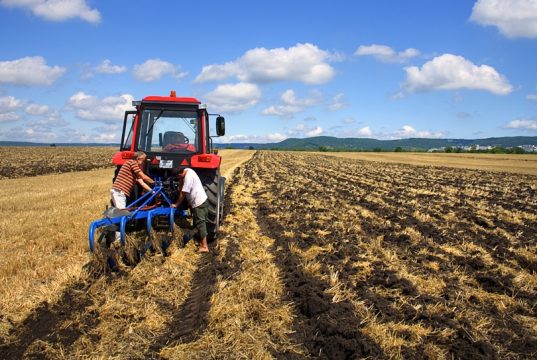 Фермерам: конкурс на гранты!