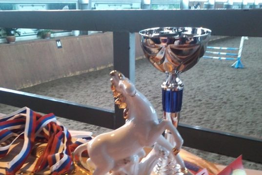 Открытые региональные соревнования по конному спорту в помещении и Кубок главы городского округа Кохма