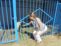 О чём мечтает фермер Лиза