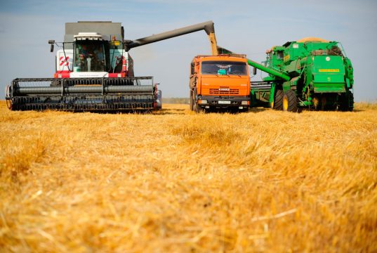 В области началась уборочная кампания