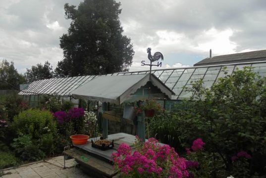 Как найти лекарство от спеси