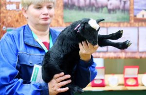 Ивановский регион получил гран-при Российской агропромышленной выставки «Золотая осень»