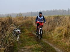 Покорители «желтых листьев»