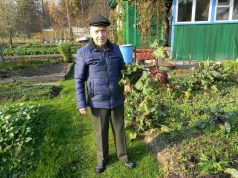 Дачников поделили на садоводов и огородников