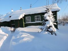 Что же это за Новый Год, и без елочки?