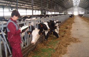 Учхоз «Чернореченский» понесет ответственность за невыплату зарплаты