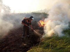 17 возгораний травы за первую неделю апреля