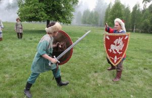 Маневры в Новых Горках