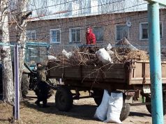 Школьники помогли благоустроить село