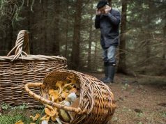 «Я пошел на юг»