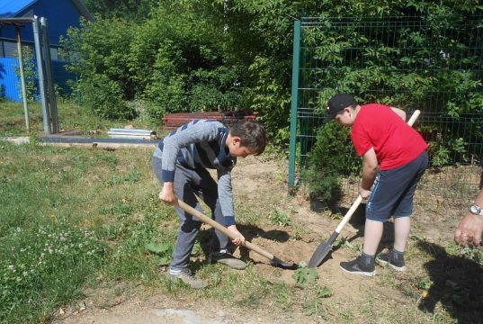 Подведены итоги реализации школьных проектов в рамках конкурса #Иврайон: Решай! Меняй!