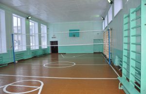 Депутаты-«единороссы» инициируют программу по обновлению школьных спортзалов в городах области