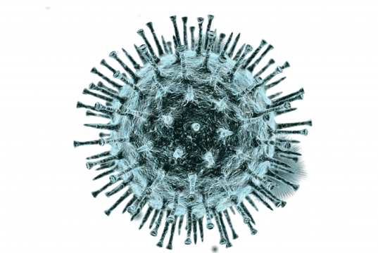 Ограничивается работа гостиниц и сдача домов в наём