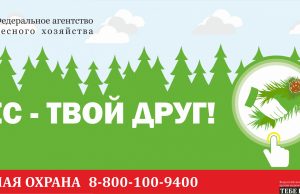 В Ивановской области объявлено начало пожароопасного сезона
