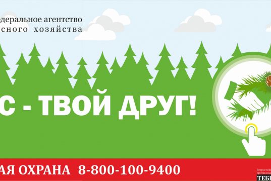 В Ивановской области объявлено начало пожароопасного сезона
