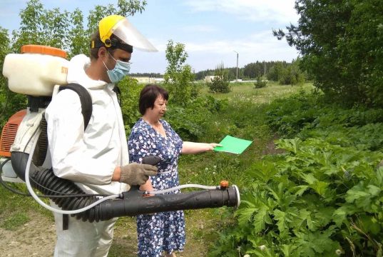 ПереБОРЩЕВИК