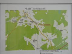 Здоровое будущее