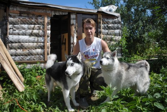 Неудержимая ласка приютских хаски