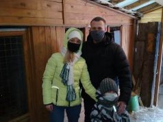 Сотрудники кохомской колонии помогли приюту для бездомных животных