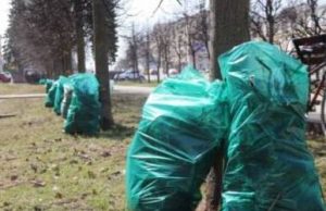 Ивановская область присоединится к всероссийскому субботнику