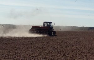 На полях Ивановского района завершаются весенние работы