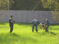 На страже законности и правопорядка